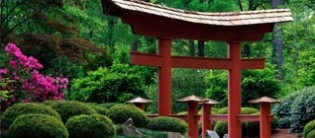 Le tour du monde de la Mort ! 7e étape : le Japon